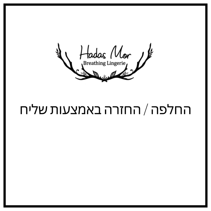 החלפה / החזרה באמצעות שליח
